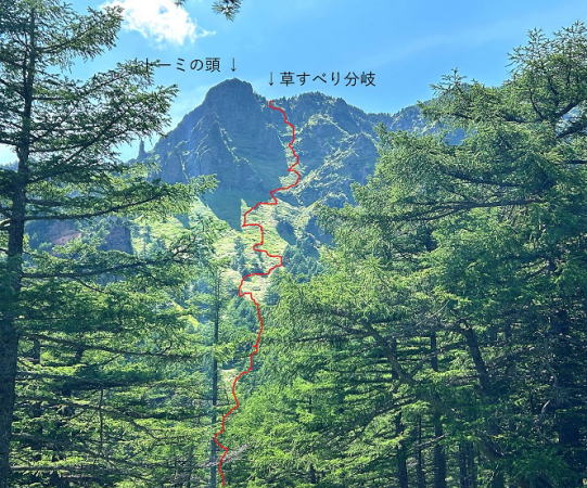 草すべり全景
