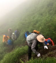 浅間山、草すべり