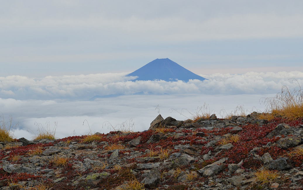 草紅葉と富士山