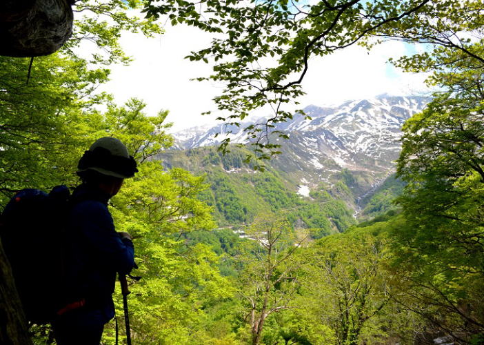 チブリ尾根から白山