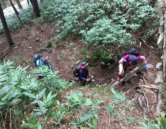 急坂の登山道