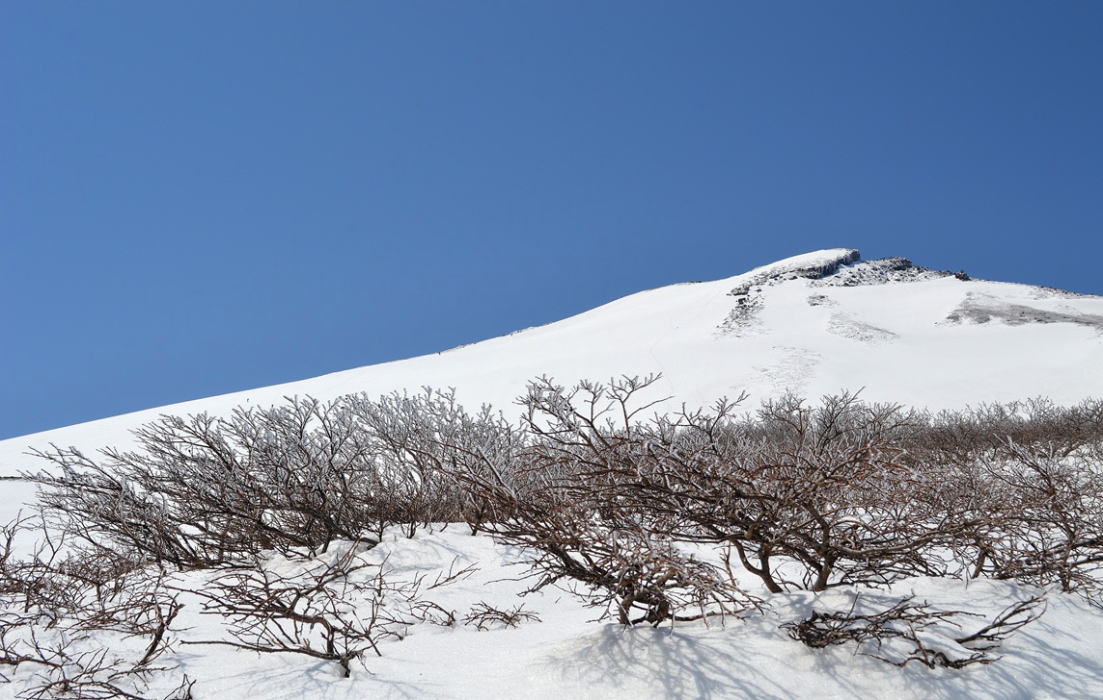 ５月の新雪