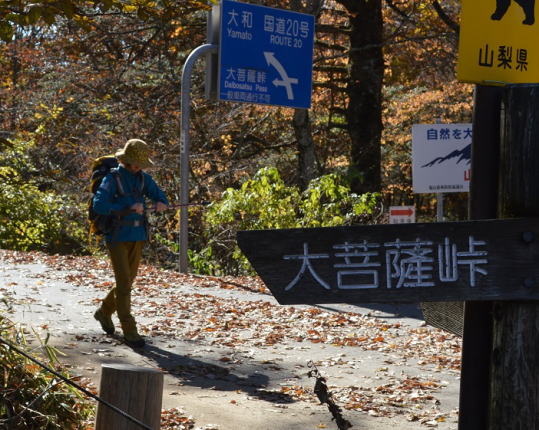 ロッジ長兵衛登山口