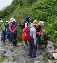 花の白山