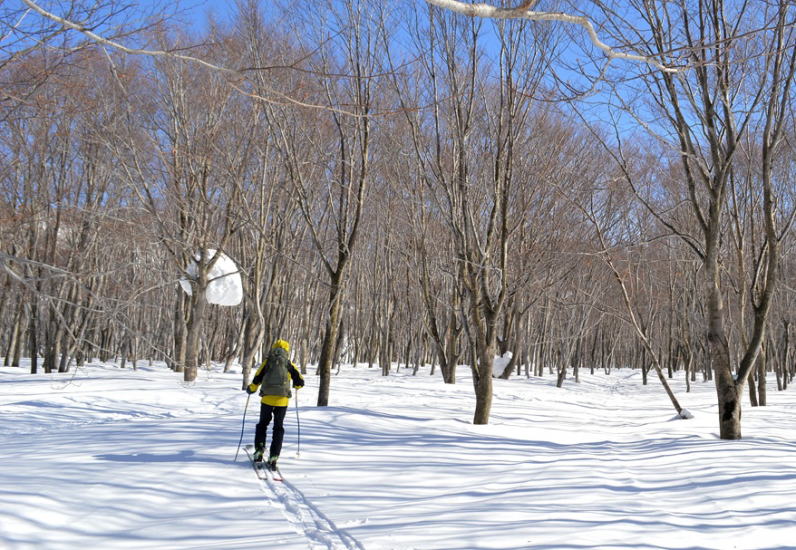 大岳環状ルート