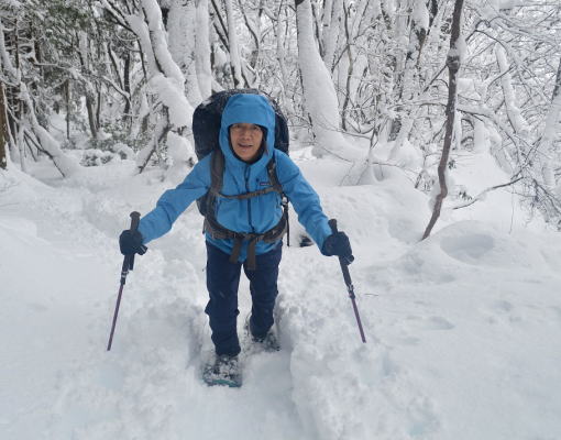 雪景色