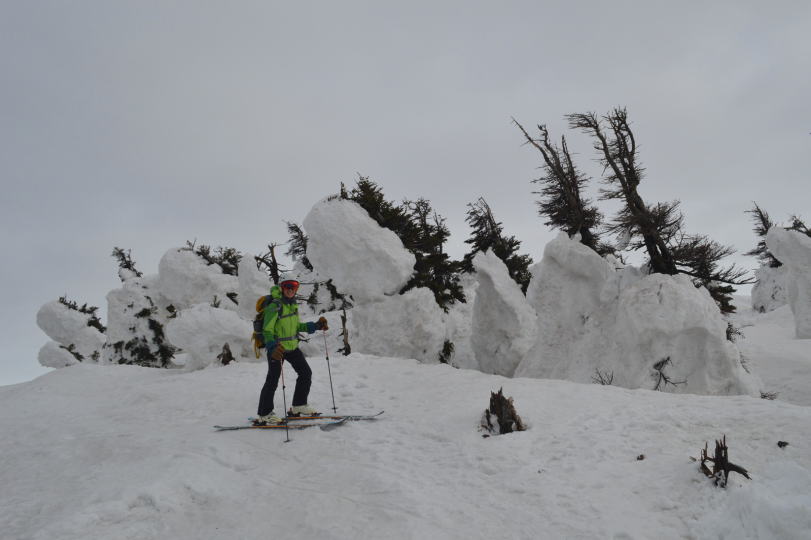 融けるモンスター