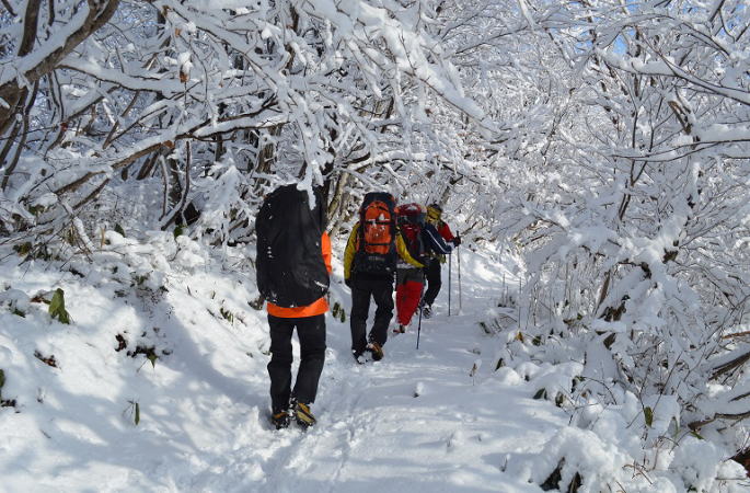 着雪のトンネル