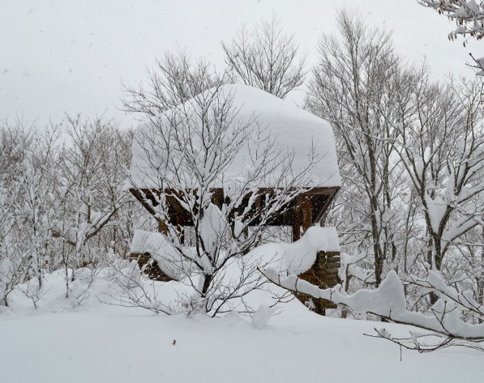 東屋の積雪