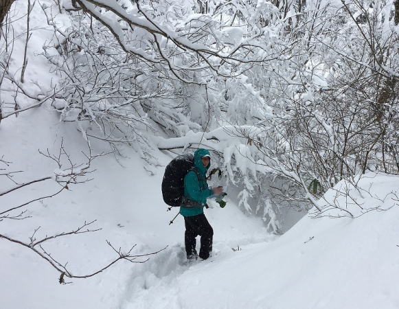 U字の登山道通過