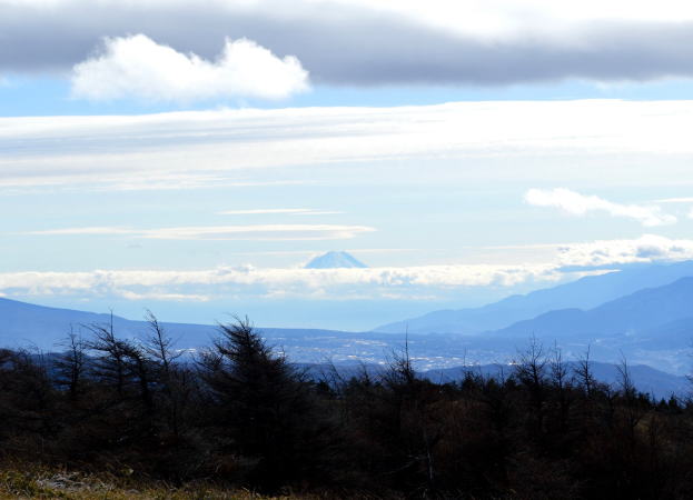 富士山遠望
