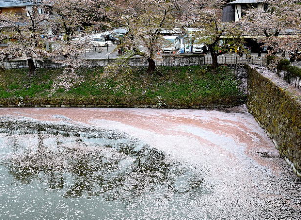 花びら文様