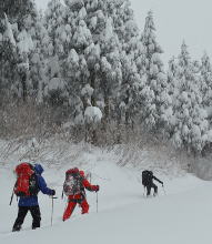 福井 法恩寺山 冬