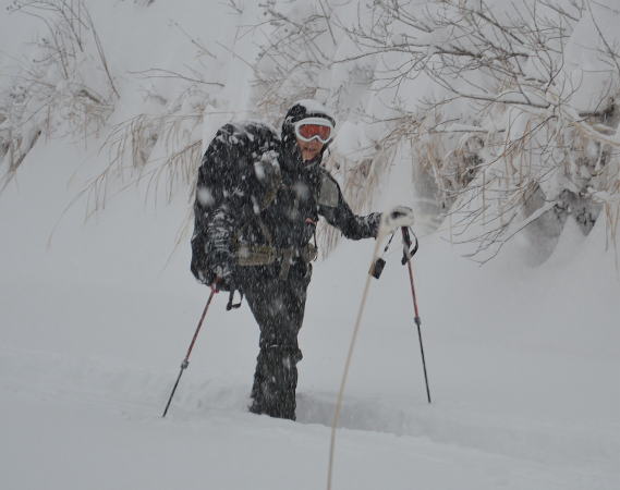 田村ガイド