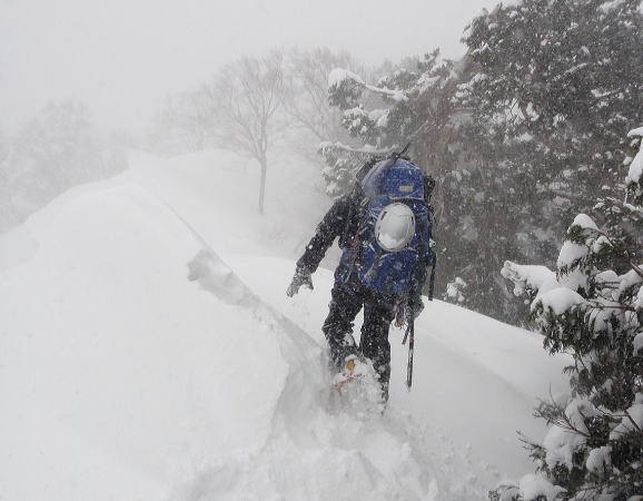 新雪がまとわりつく