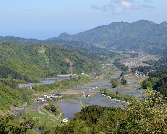 笹倉温泉と水田地帯