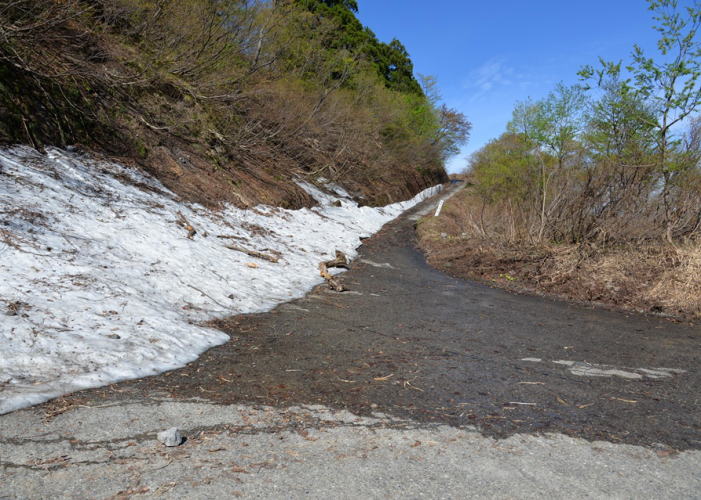 焼山林道口