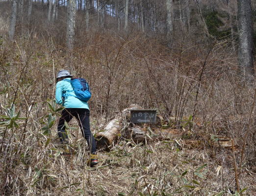 整備された登山道