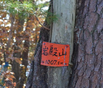 岩殿山山頂、三角点