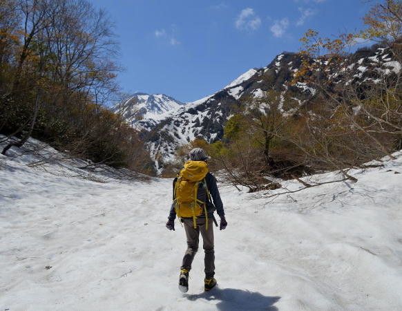 林道から焼山