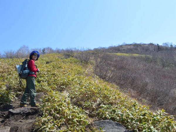 笹原の尾根