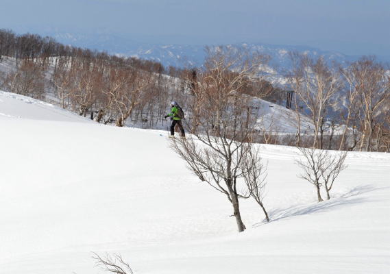 雪上散策