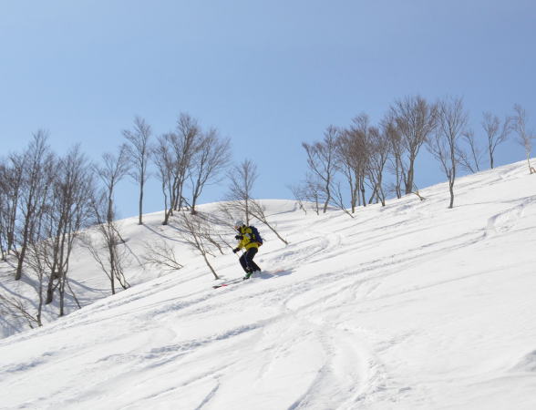 べた雪滑降