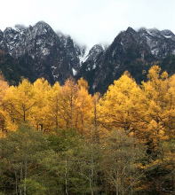 上高地紅葉