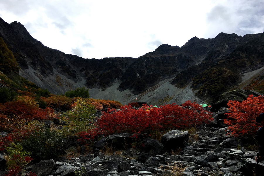 涸沢紅葉