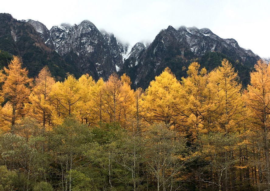 上高地3段紅葉