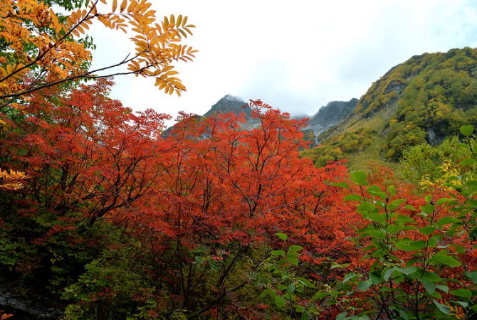 涸沢小屋分岐