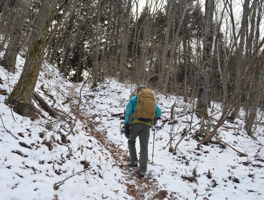 登山道に戻る