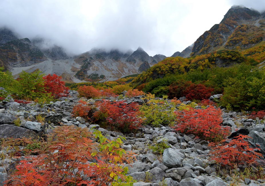 涸沢カールのナナカマドの紅葉