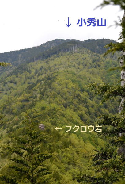 小秀山稜線