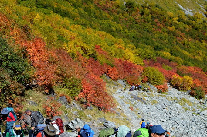 涸沢ヒュッテ直下の紅葉