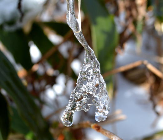 氷の雫