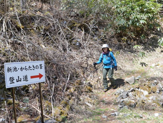 作業道へ下山