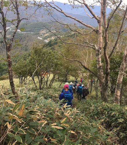 鷲ヶ峰下り