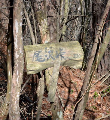尾沢峠標識