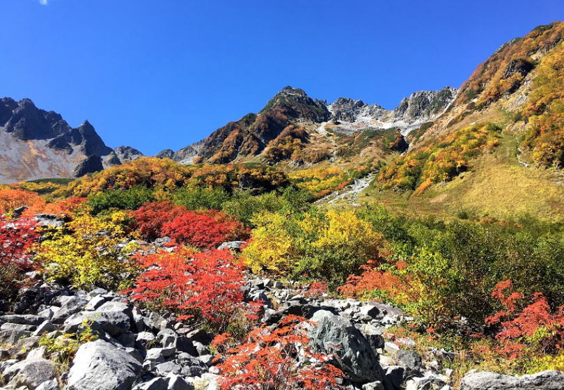 涸沢紅葉