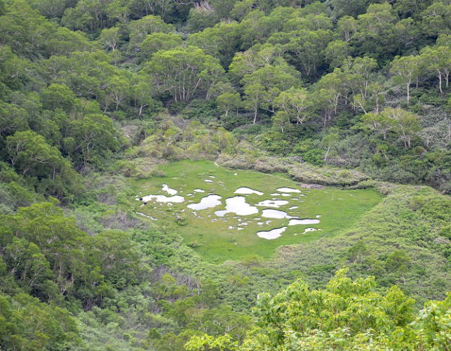 長助池