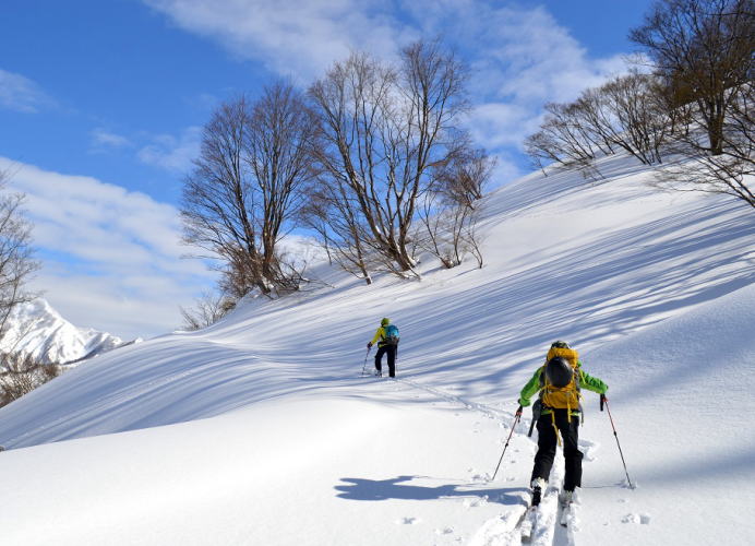 新田山林道ハイクアップ