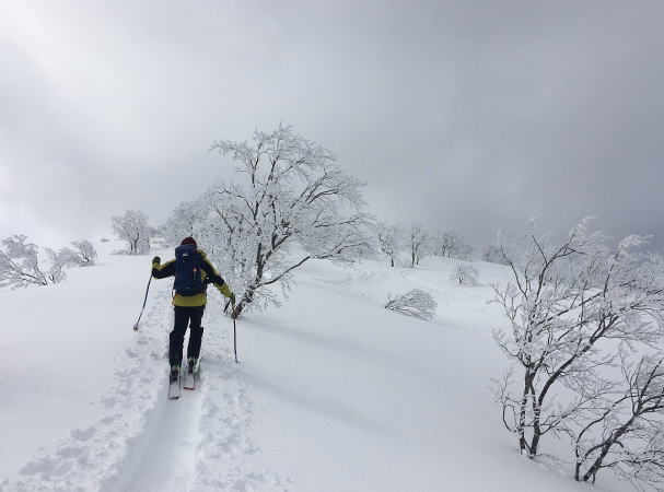 尾根コース