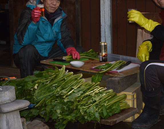 野沢菜洗い