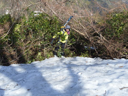 藪漕ぎ