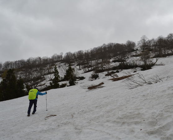 残雪の新田山登り