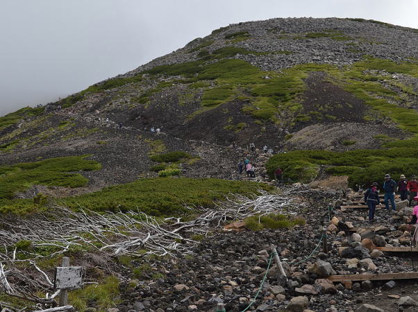 乗鞍登山道