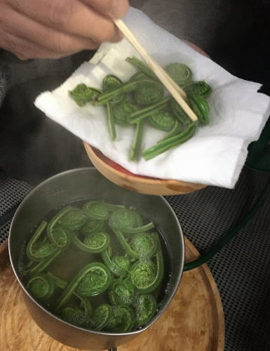 コゴミのお浸し