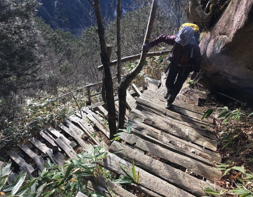 整備された登山道