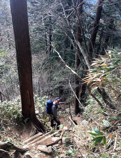 下山道